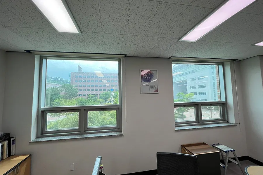 사무실 창 너머로 보이는 캠퍼스 전경